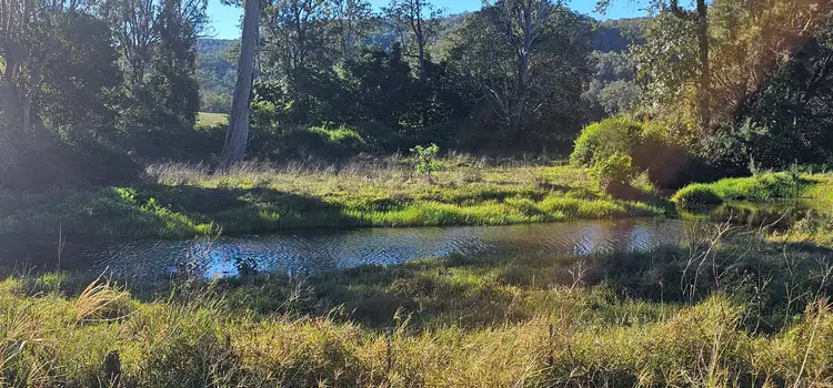 Fifth view of Homely rural property listing, 2400 Busbys Flat Road, Busbys Flat NSW 2469