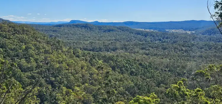 Sixth view of Homely rural property listing, 2400 Busbys Flat Road, Busbys Flat NSW 2469