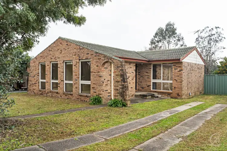 Main view of Homely house listing, 17 Adrian Street, Macquarie Fields NSW 2564