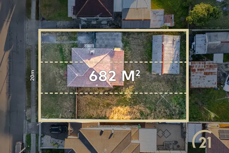 117 Canley Vale Road, Canley Vale NSW 2166