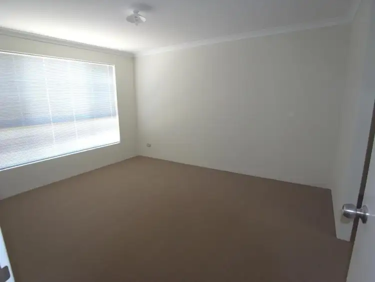 Second view of Homely house listing, 43 Leeway Loop, Alkimos WA 6038