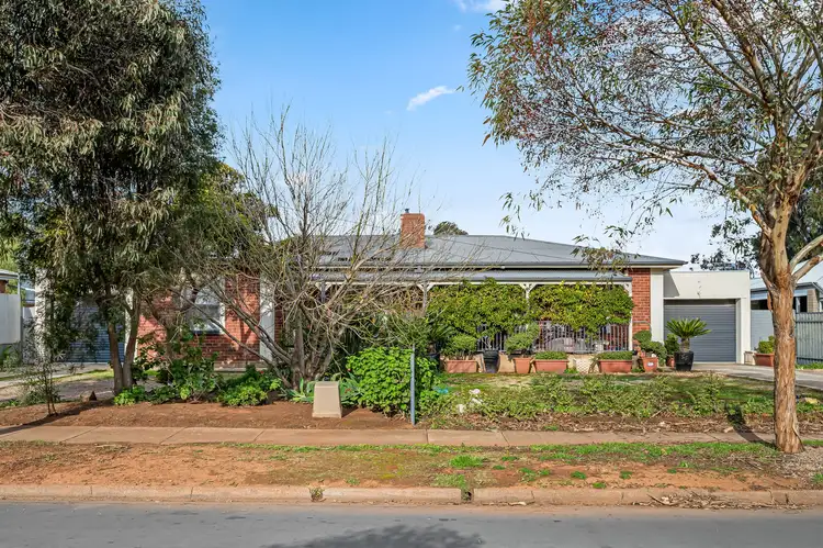 66 International Avenue