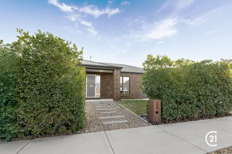 3 Cleary Street