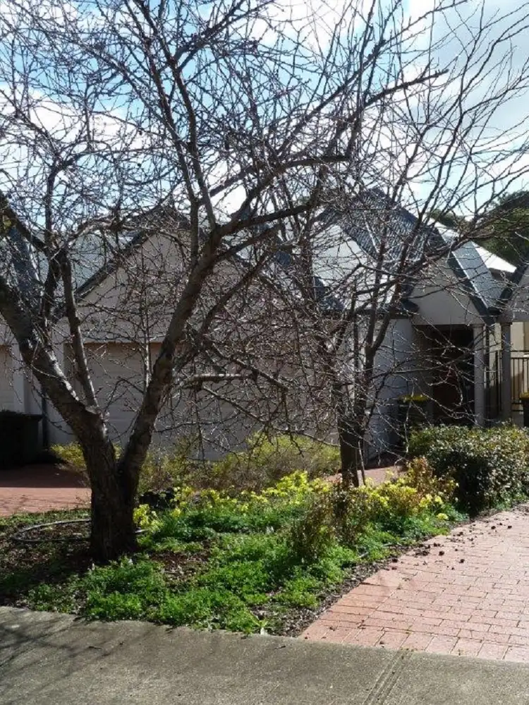 8b Pendeen Street, Golden Grove SA 5125