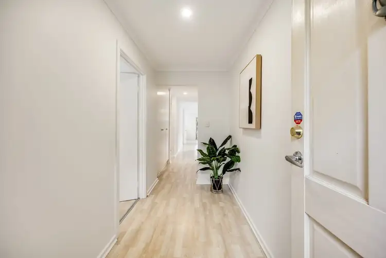 Second view of Homely house listing, 41 Mcinerney Avenue, Mitchell Park SA 5043