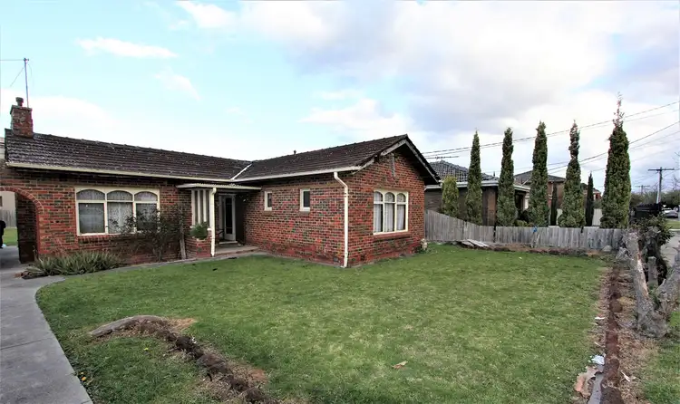 19 Victoria Avenue, Springvale VIC 3171