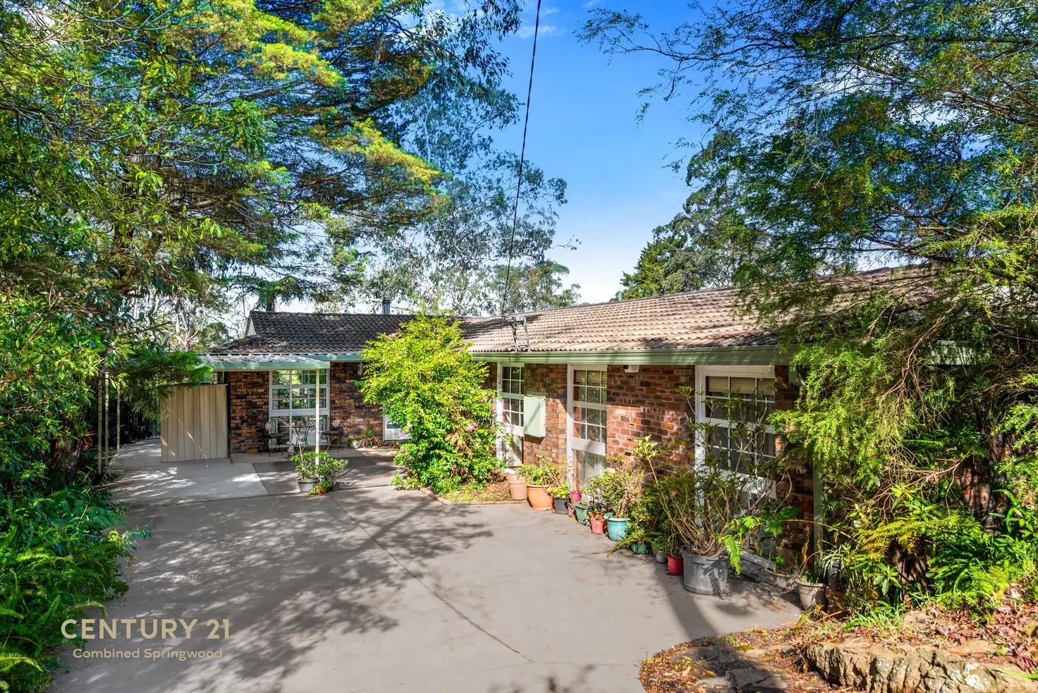 Main view of Homely house listing, 55 Shirlow Avenue, Faulconbridge NSW 2776