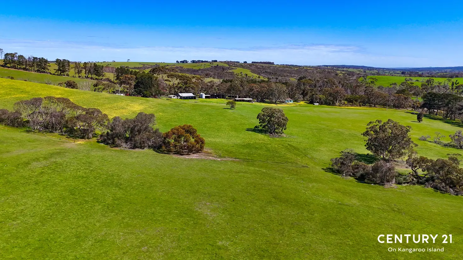 Main view of Homely rural property listing, 2265 Playford Highway, Kohinoor SA 5223