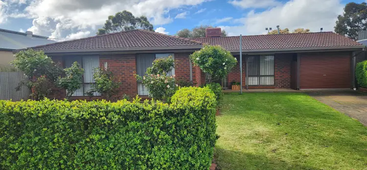 3 Buttercup Grove, Morphett Vale SA 5162