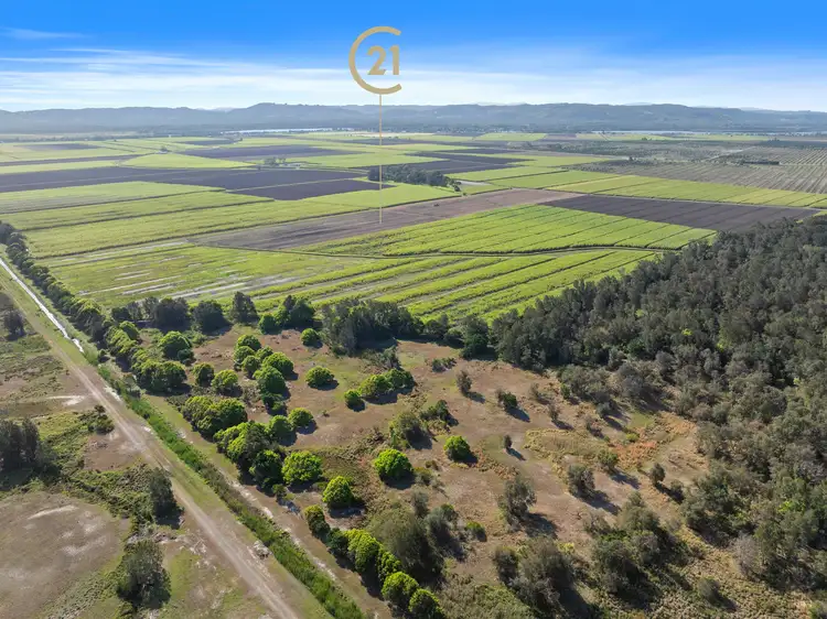 Seventh view of Homely rural property listing, Lot 2 Meaneys Lane, East Wardell NSW 2477