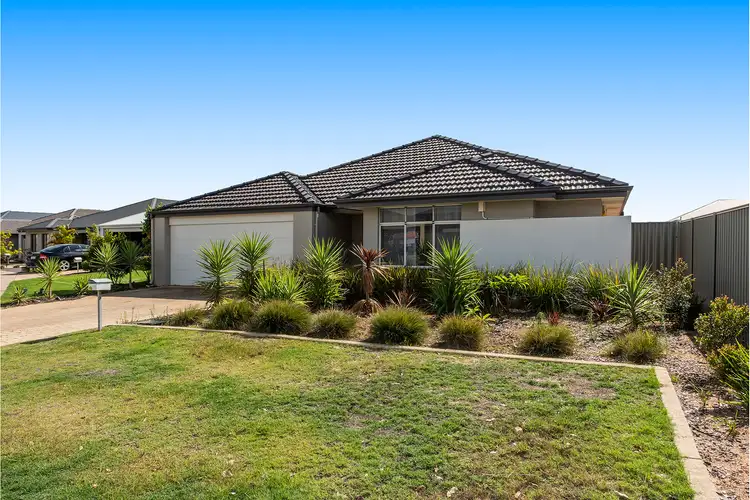 53 Weewar Circuit, South Yunderup WA 6208