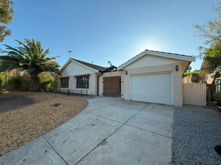 98 Haines Road, Banksia Park SA 5091