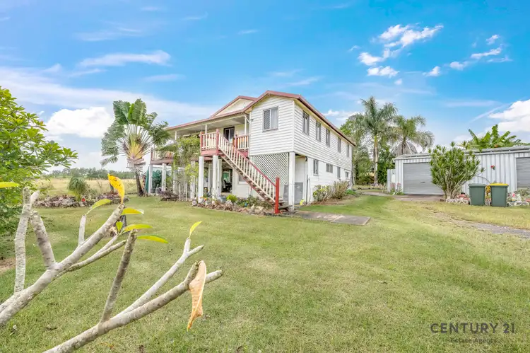 Sixth view of Homely rural property listing, 4289 Bundaberg Road, Maroondan QLD 4671