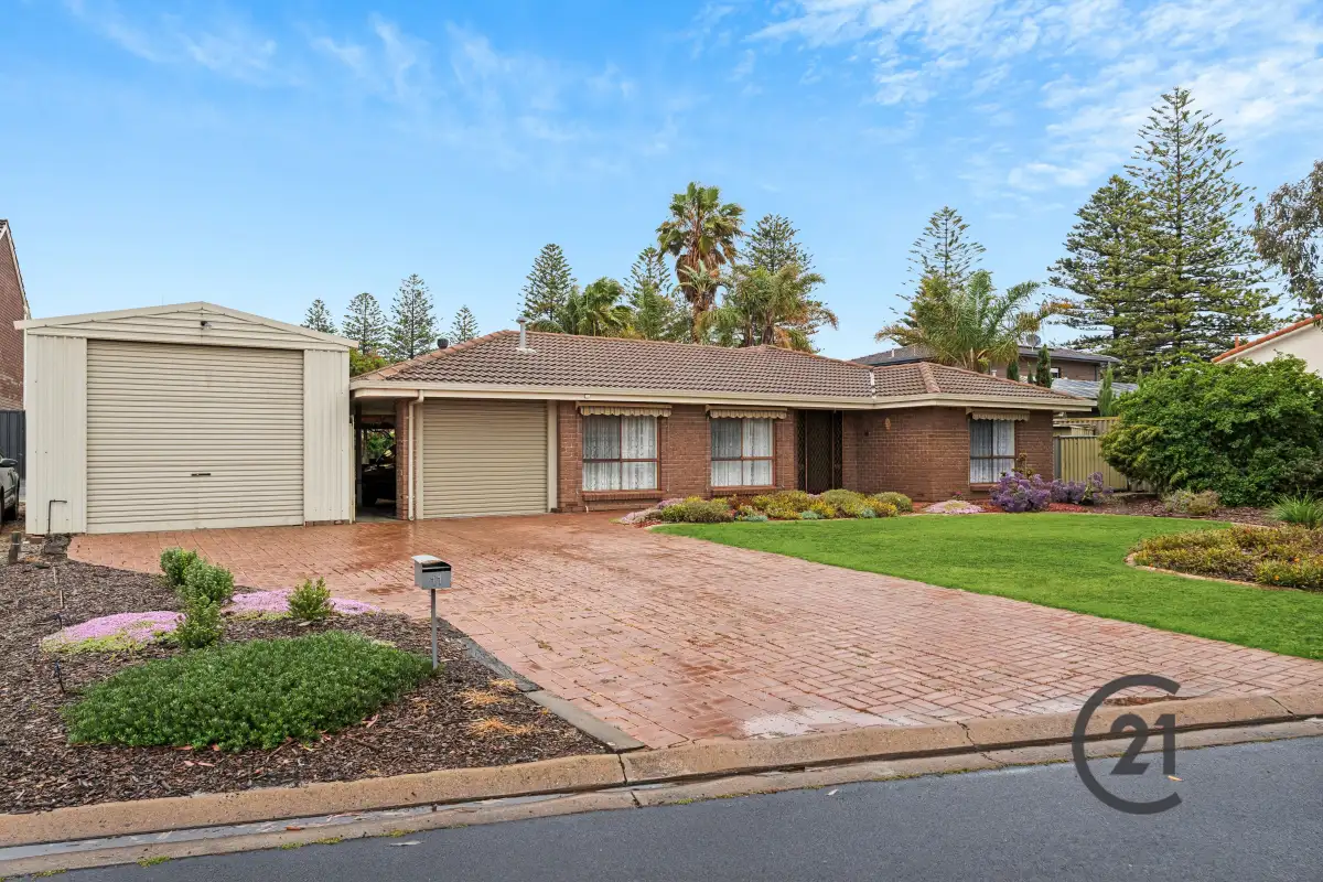 Main view of Homely house listing, 11 Read Court, North Haven SA 5018