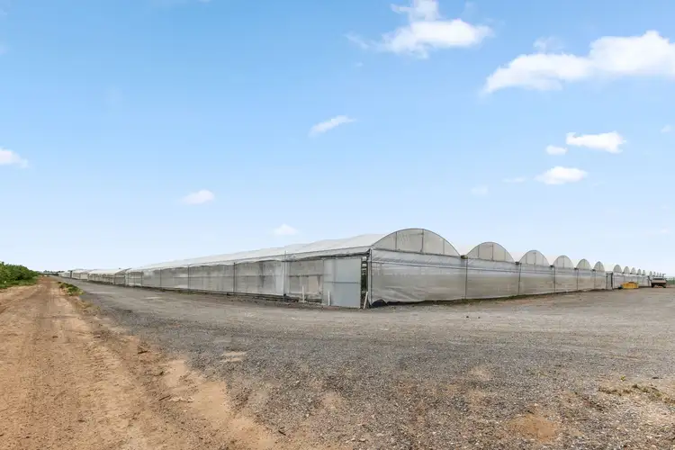 Second view of Homely rural property listing, 331 Johns Road, Lewiston SA 5501