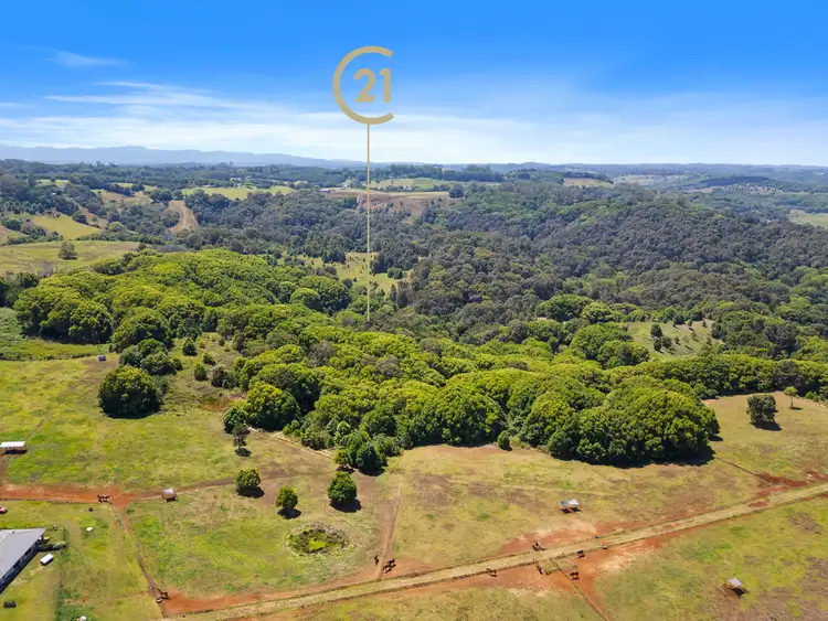 Second view of Homely rural property listing, Lot 164 Leadbeatters Lane, Alstonville NSW 2477