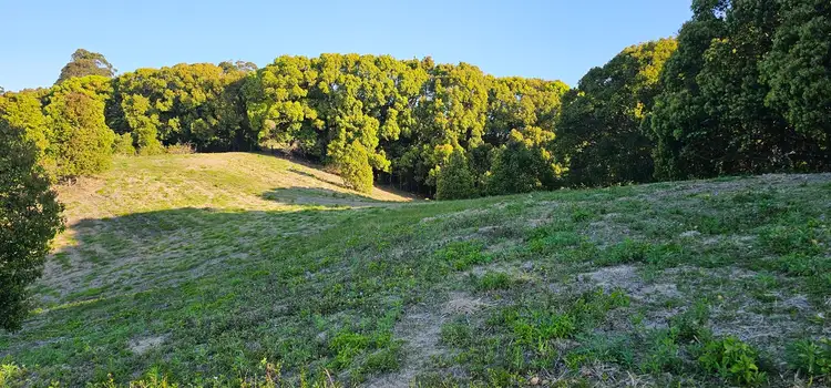 Fifth view of Homely rural property listing, Lot 164 Leadbeatters Lane, Alstonville NSW 2477