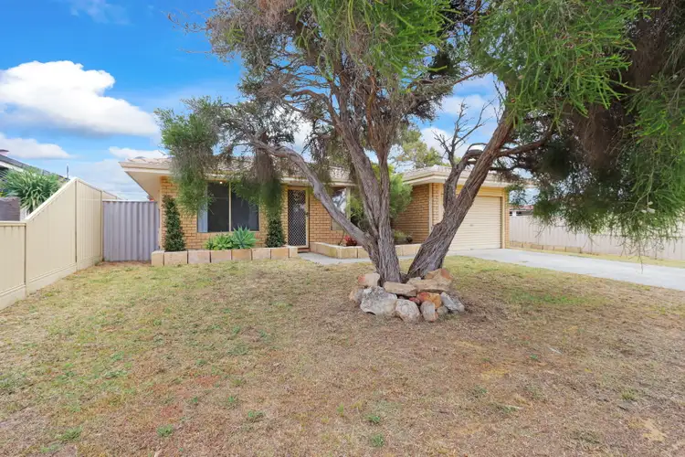 Second view of Homely house listing, 77 Cuthbertson Drive, Cooloongup WA 6168