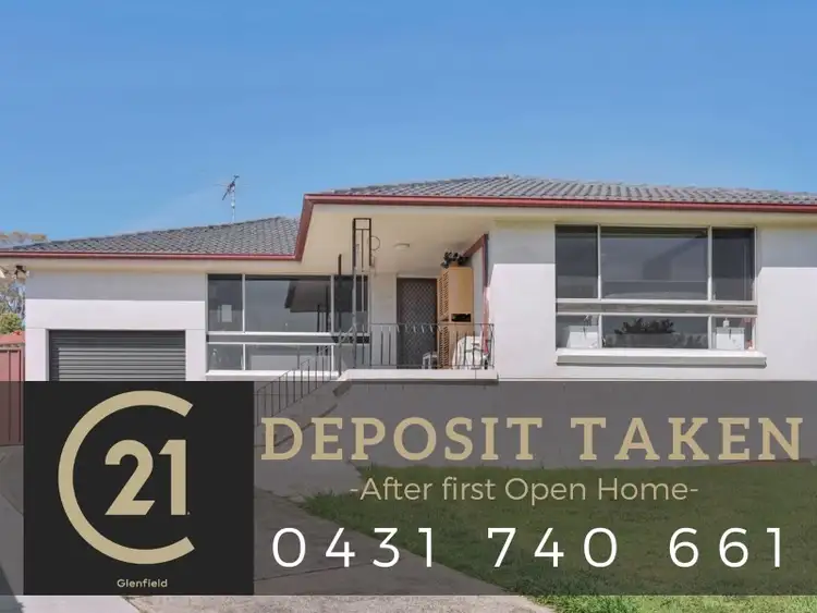 6 Ray Place, Minto NSW 2566