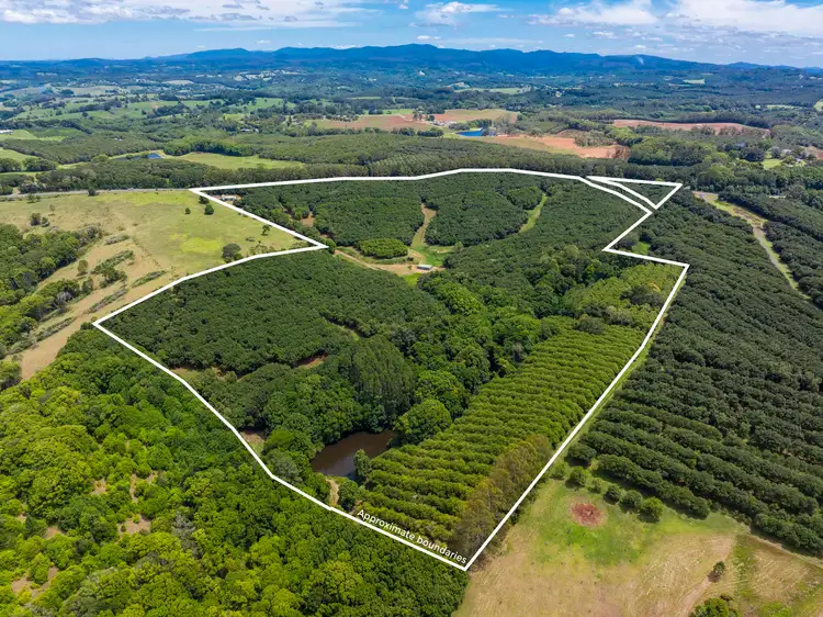 1025 Lismore Road, Nashua NSW 2479