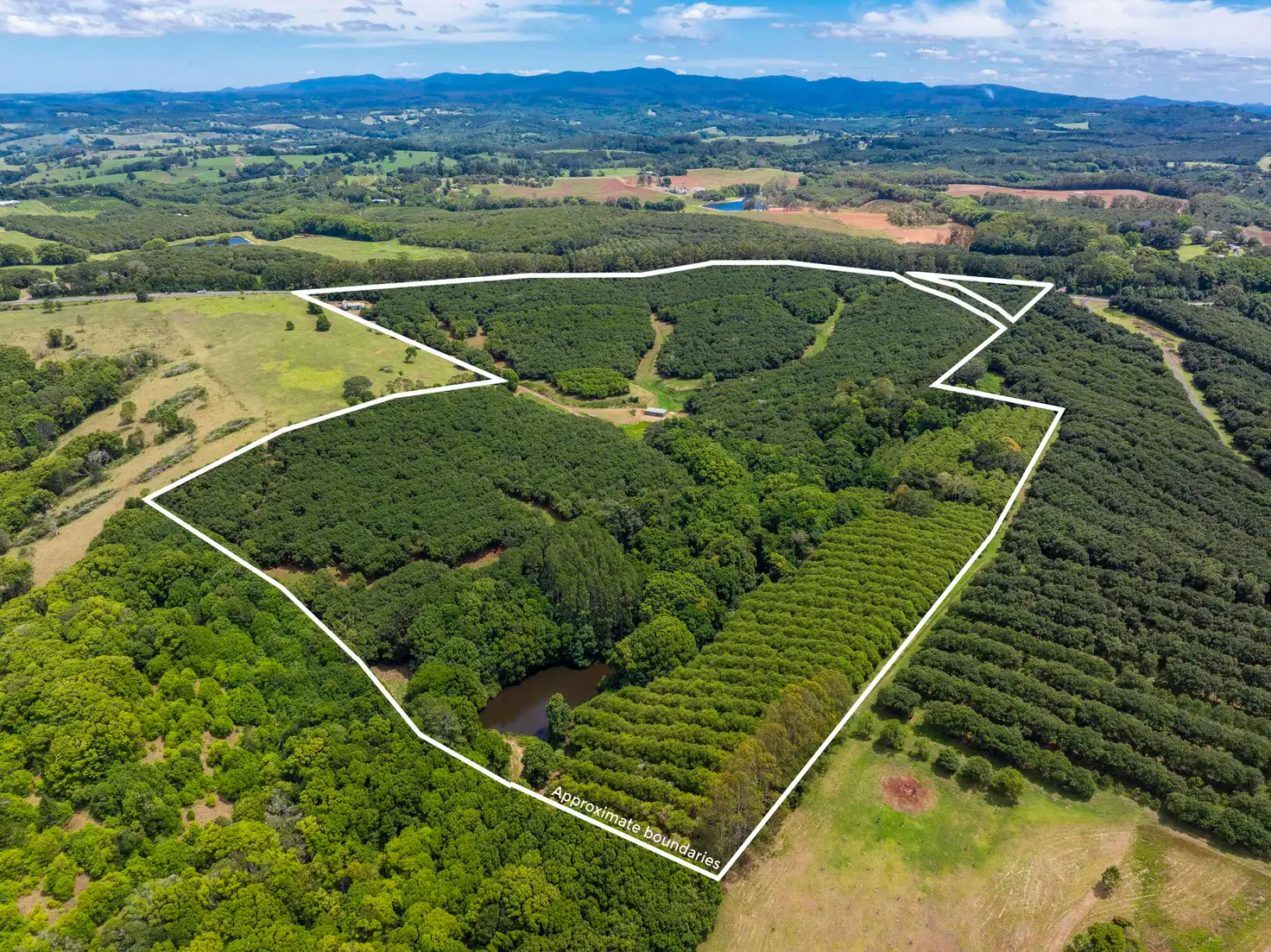 Main view of Homely rural property listing, 1025 Lismore Road, Nashua NSW 2479