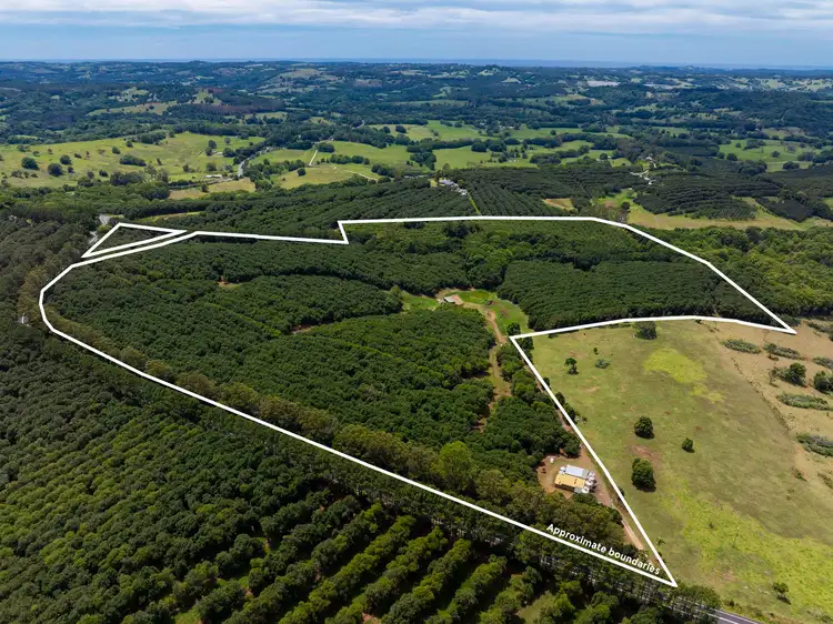 Second view of Homely rural property listing, 1025 Lismore Road, Nashua NSW 2479