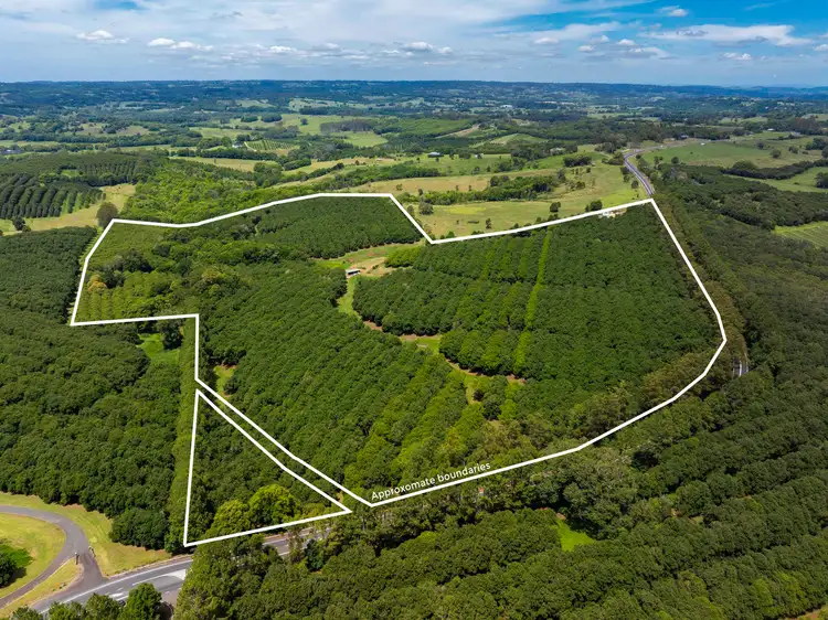 Third view of Homely rural property listing, 1025 Lismore Road, Nashua NSW 2479