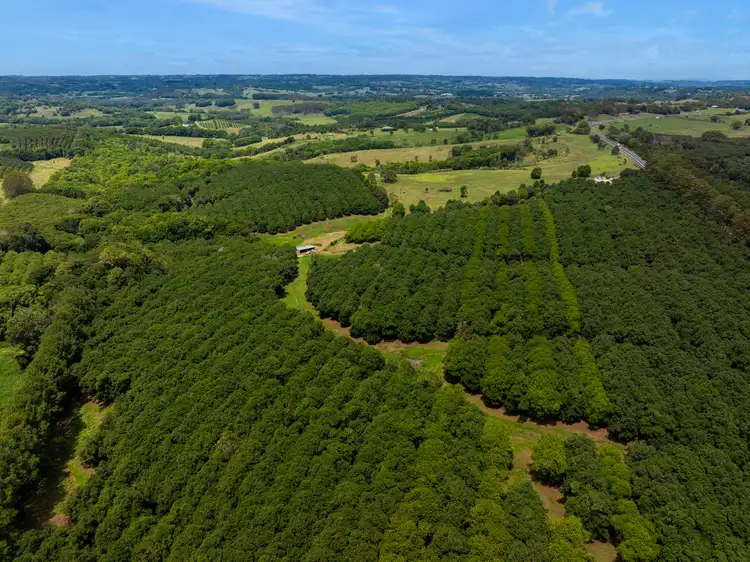 Fourth view of Homely rural property listing, 1025 Lismore Road, Nashua NSW 2479