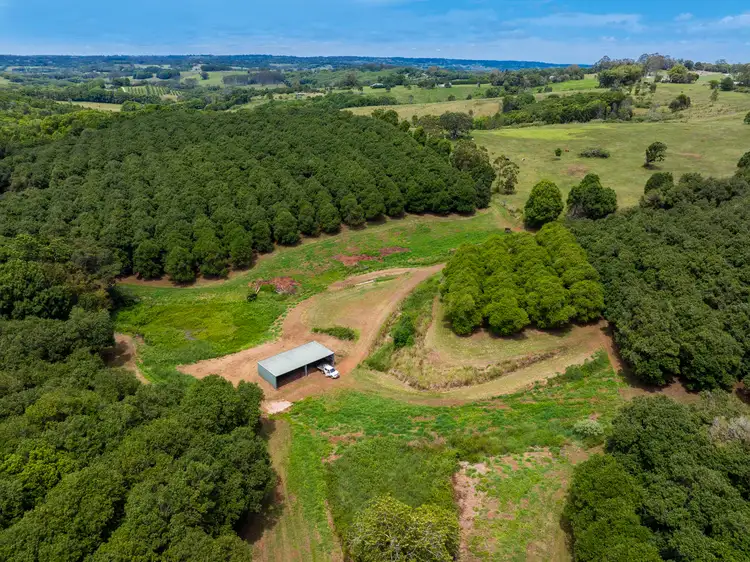 Fifth view of Homely rural property listing, 1025 Lismore Road, Nashua NSW 2479