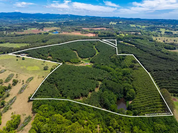 Sixth view of Homely rural property listing, 1025 Lismore Road, Nashua NSW 2479