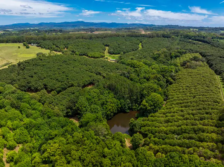 Seventh view of Homely rural property listing, 1025 Lismore Road, Nashua NSW 2479