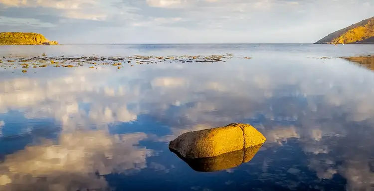 Address available on request