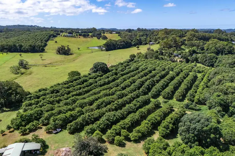 Second view of Homely rural property listing, 301 Goremans Road, Eureka NSW 2480