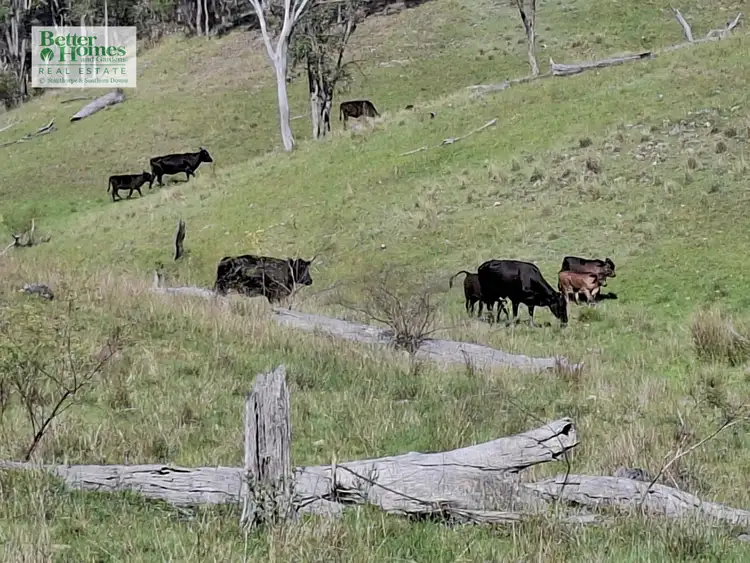 Sixth view of Homely rural property listing, Lot 14 Silver Spur Redgate Road, Silver Spur QLD 4385