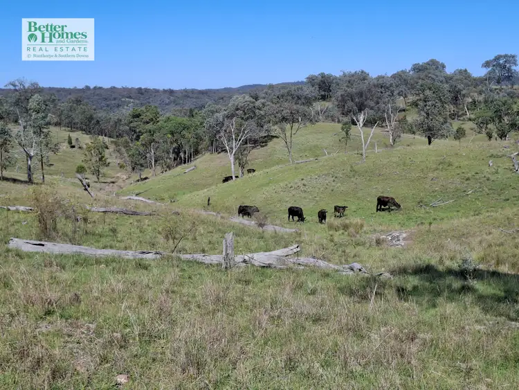 Seventh view of Homely rural property listing, Lot 14 Silver Spur Redgate Road, Silver Spur QLD 4385