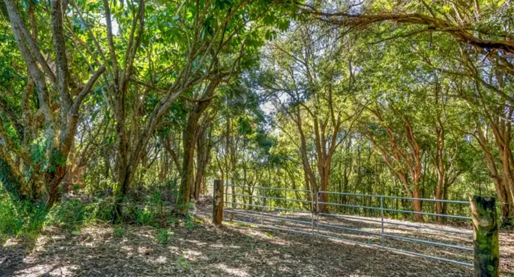 70 North Teven Road, Teven NSW 2478