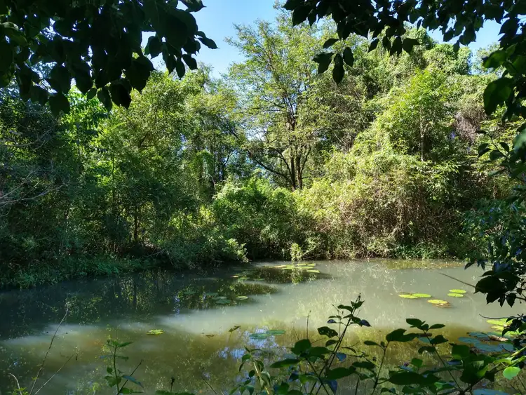 Third view of Homely rural property listing, 70 North Teven Road, Teven NSW 2478