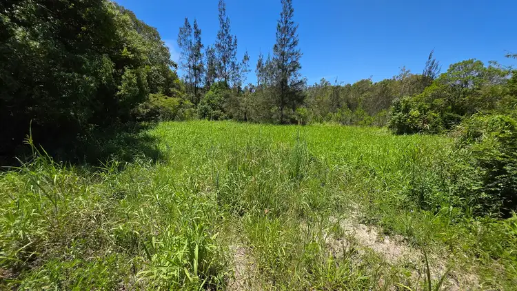 Seventh view of Homely rural property listing, 70 North Teven Road, Teven NSW 2478