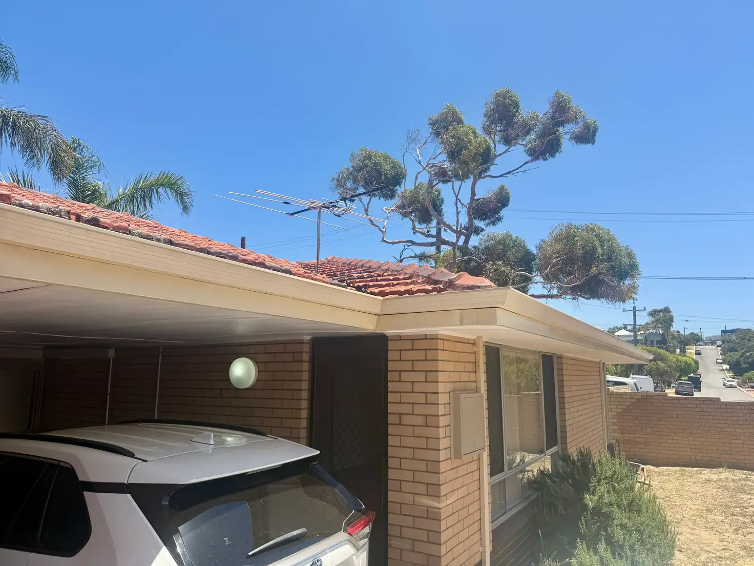 Main view of Homely villa listing, 11/43-45 Scarborough Beach Road, Scarborough WA 6019