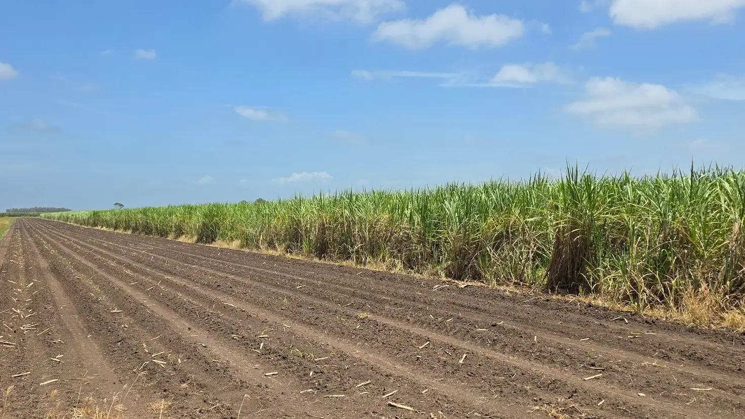 Main view of Homely rural property listing, 665 and 691 Kilgin Road, Kilgin NSW 2472