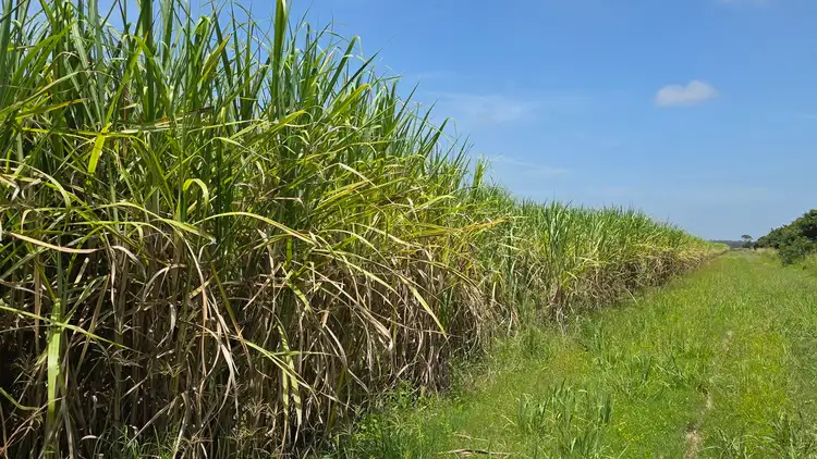 Second view of Homely rural property listing, 665 and 691 Kilgin Road, Kilgin NSW 2472