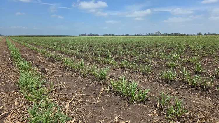 Third view of Homely rural property listing, 665 and 691 Kilgin Road, Kilgin NSW 2472