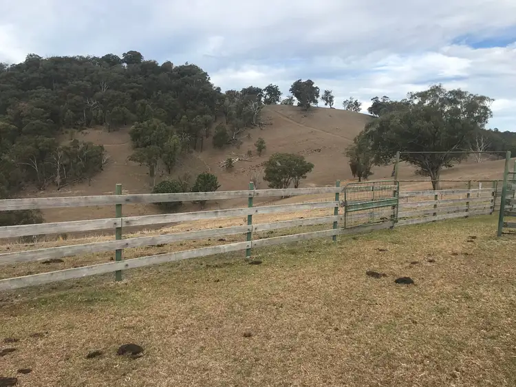 The Farm 830 Weabonga Road, Weabonga NSW 2340