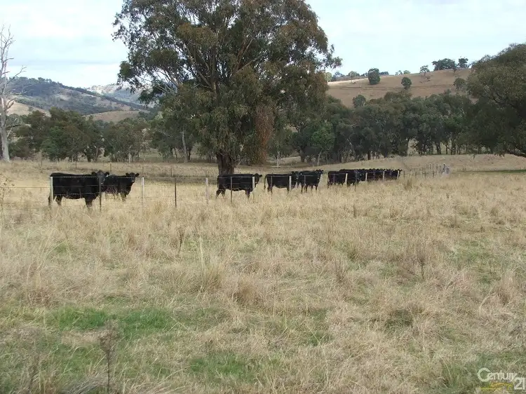 Second view of Homely rural property listing, The Farm 830 Weabonga Road, Weabonga NSW 2340