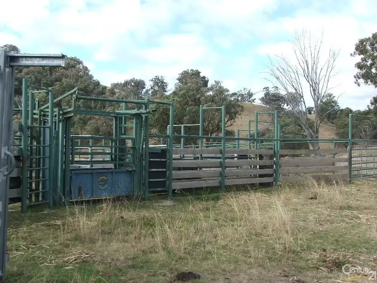 Fifth view of Homely rural property listing, The Farm 830 Weabonga Road, Weabonga NSW 2340