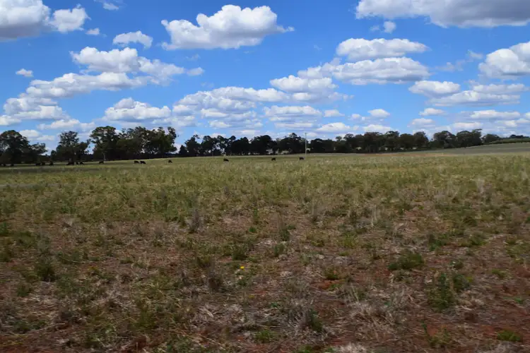 Main view of Homely land listing, Lot 1 Eugowra Road, Parkes NSW 2870