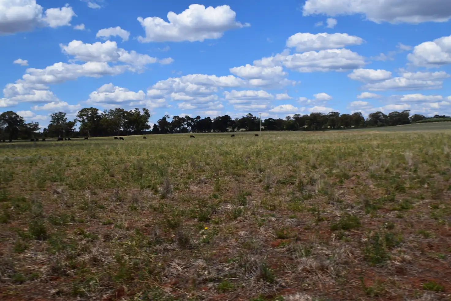 Main view of Homely land listing, Lot 1 Eugowra Road, Parkes NSW 2870