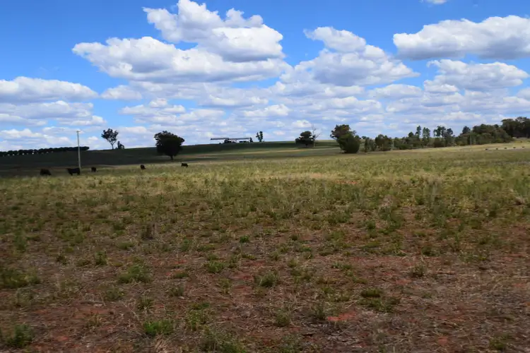 Seventh view of Homely land listing, Lot 1 Eugowra Road, Parkes NSW 2870