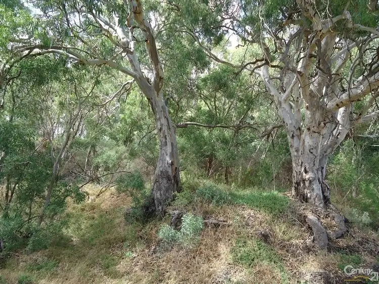 Second view of Homely land listing, 11 Muster Drive, Napperby SA 5540