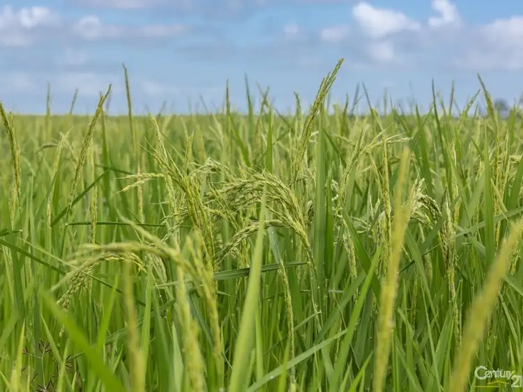 Third view of Homely rural property listing, Address available on request